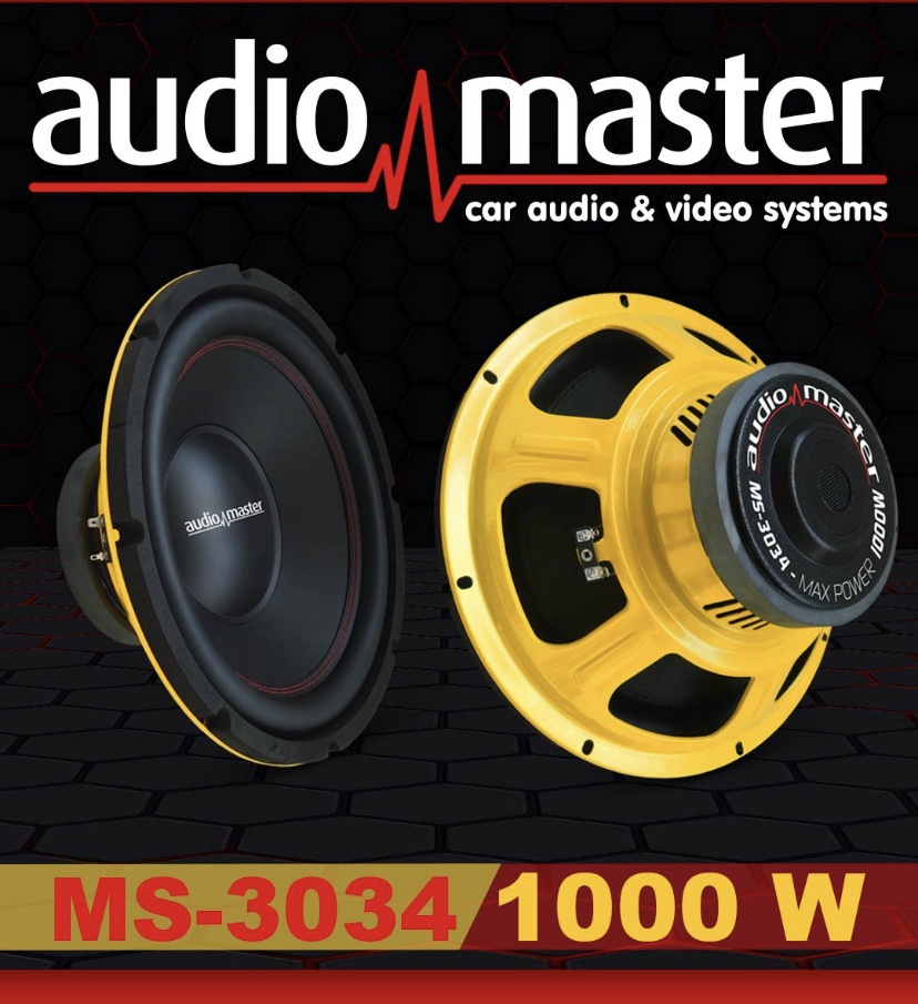 Audio Master ms-3034 subwoofer